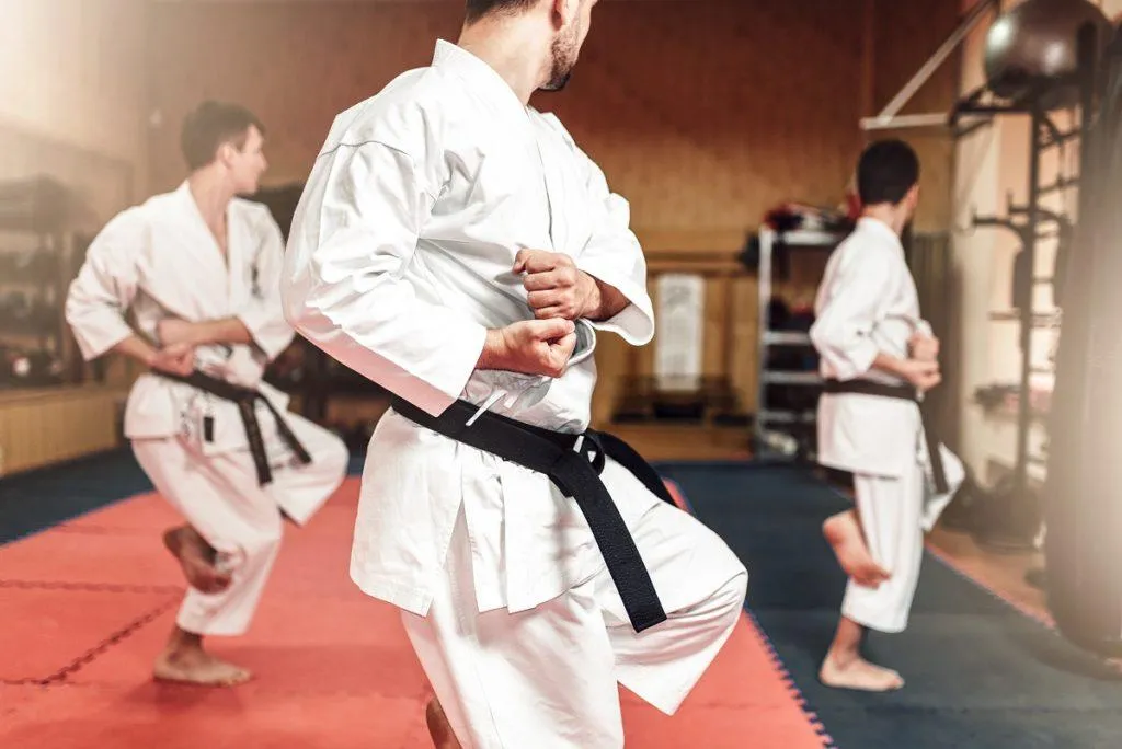 Adult martial arts